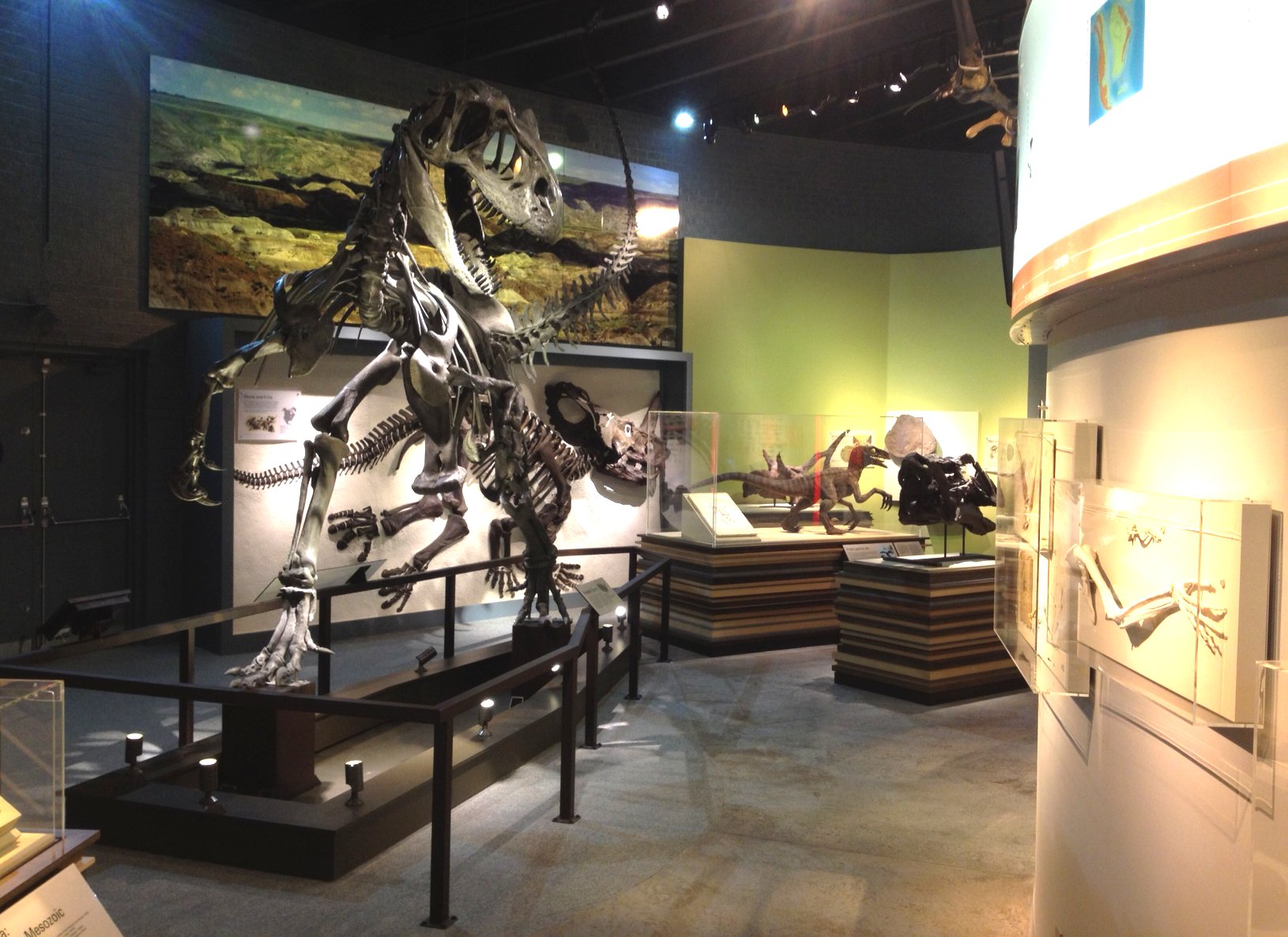 Museum Displays